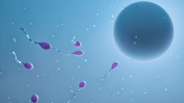 Tussen Hype & Hoax | Is egg freezing a good idea? (Dutch only)