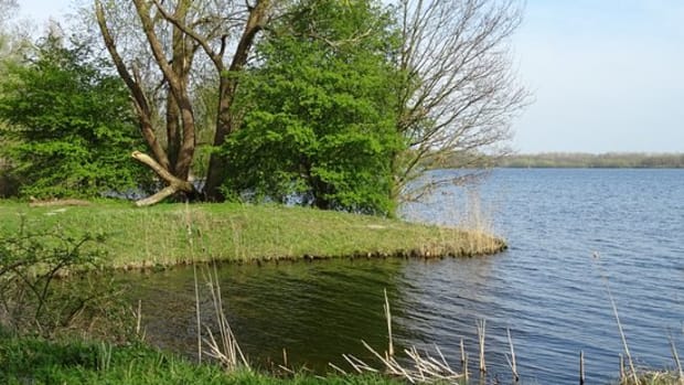 Body found in De Nieuwe Meer