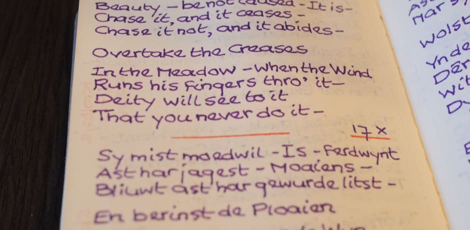 Het notitieboek van Van der Hoek