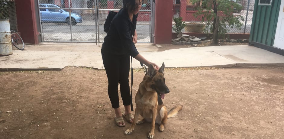 Jaffe tijdens een eerder bezoek aan Jamaica