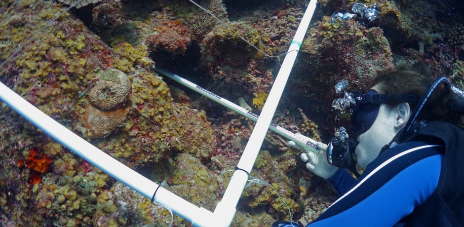 Een student meet de diepte van een holte in een koraalrif