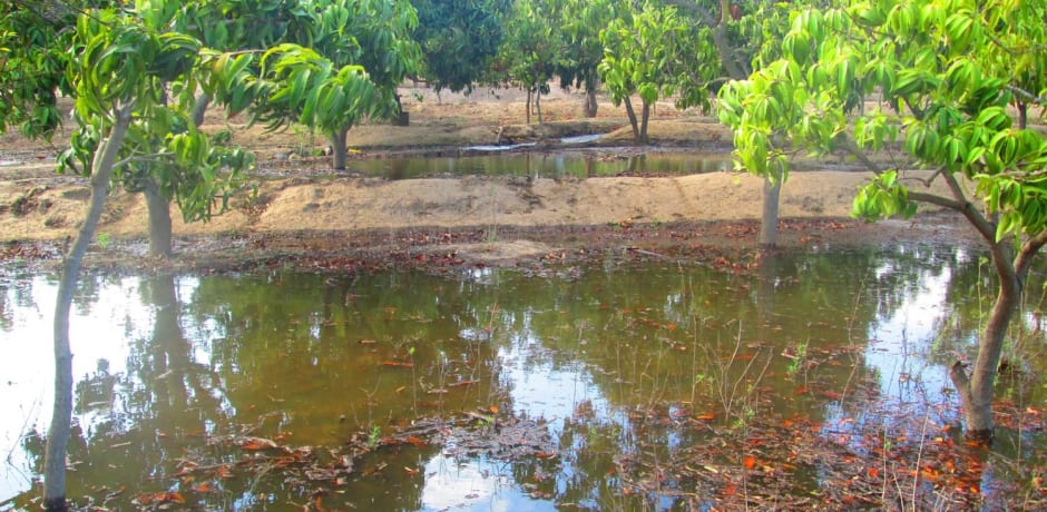 Poza, bassin filled with water