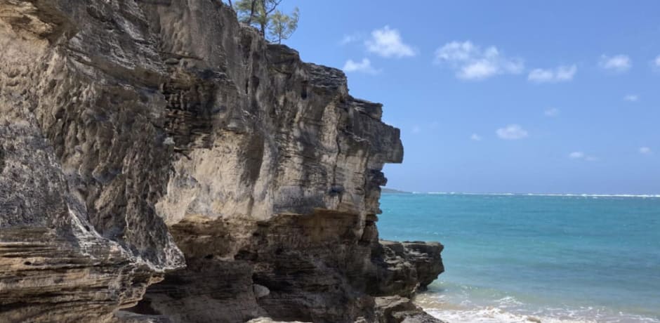 Kustlijn van eiland Rodrigues met fossiele kalklaag waarin de onderzoekers botten van de reuzenduif vonden.