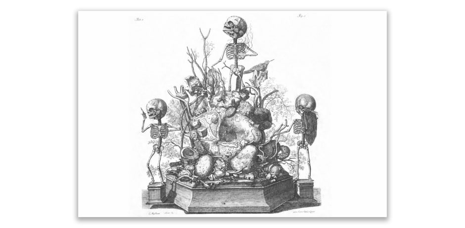 Anatomische compositie uit Het eerste anatomisch cabinet van Frederik Ruysch, afgebeeld door Cornelis Huiberts in 1701. 