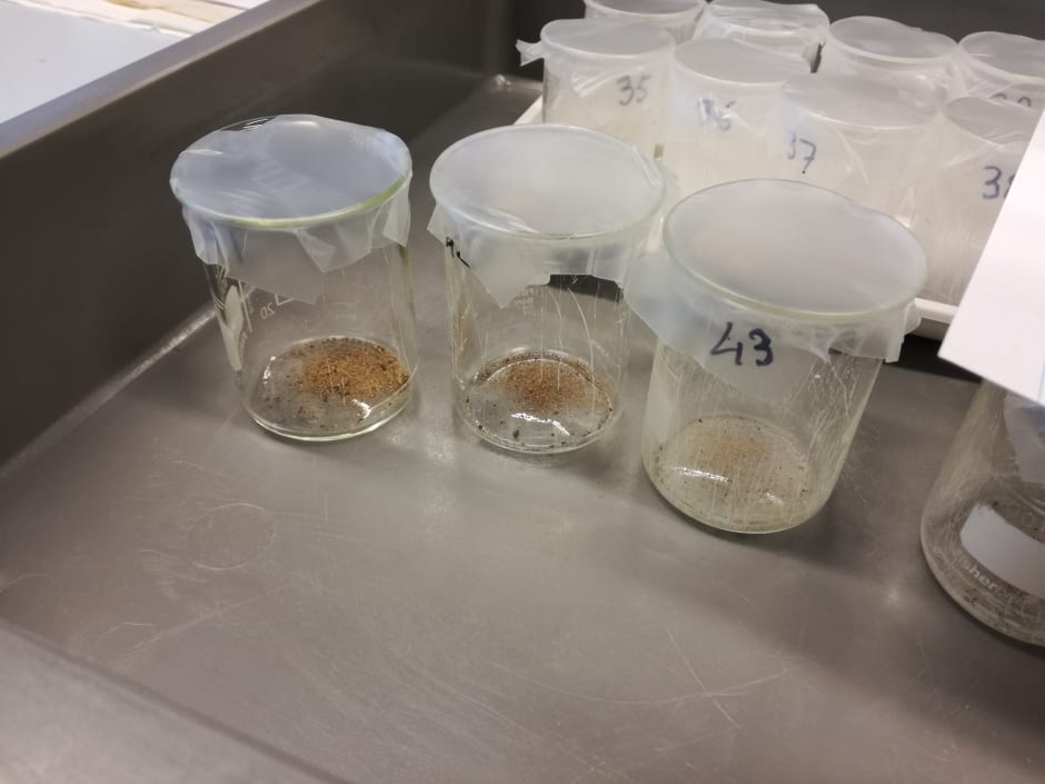 Stuifmeel uit verschillende kiezen