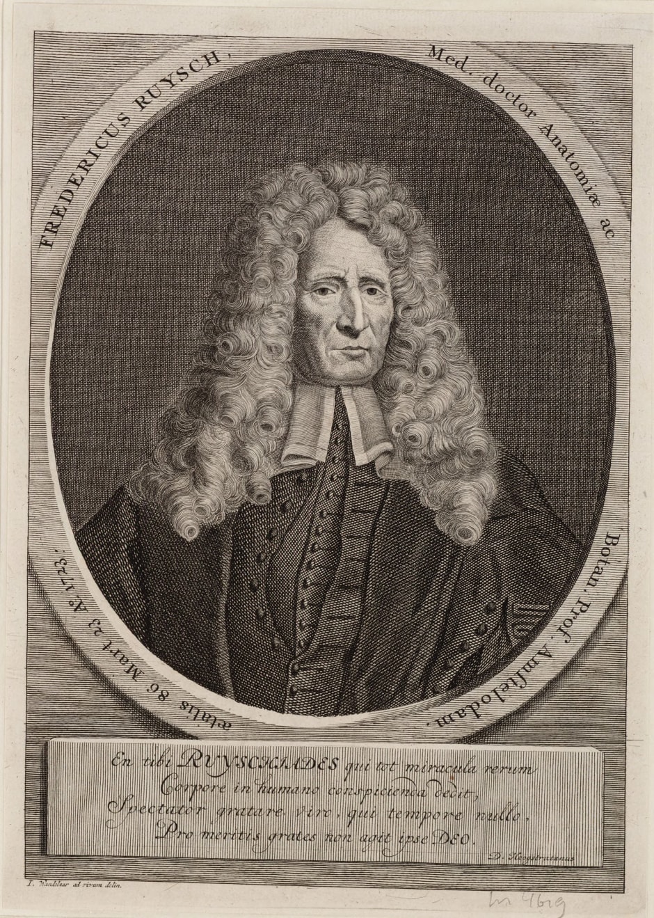 Frederik Ruysch