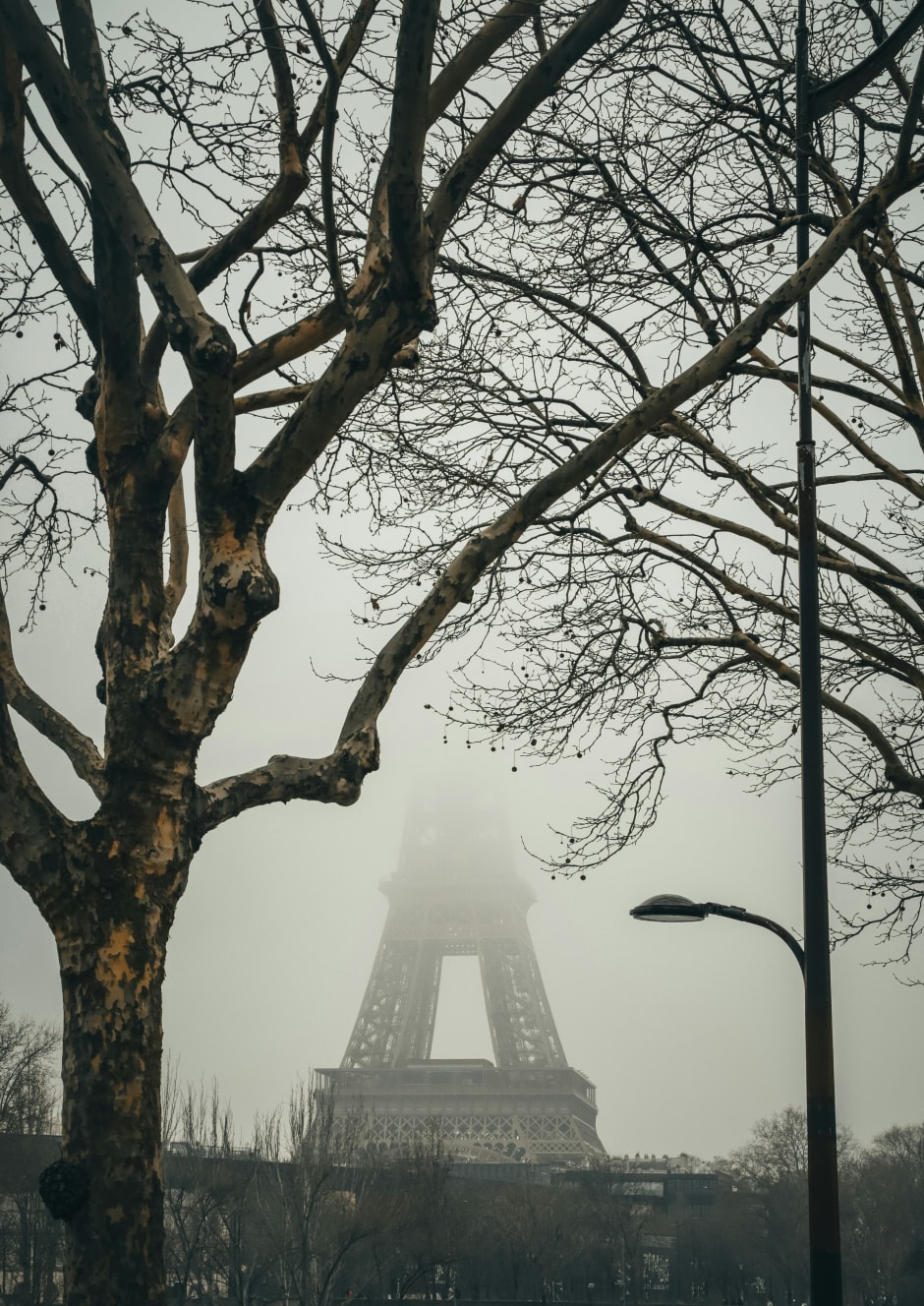 Paris in wintertime.