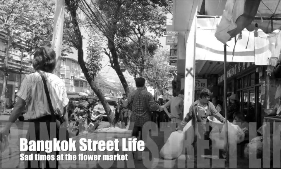 Blog Latest News Follow Me Bangkok Bicycle Tours Over the time it has been ranked as high as 7 505 it was owned by several entities, from joko purwanto to usa tv news corp, it was hosted by. follow me bangkok bicycle tours