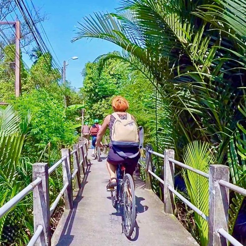 Bangkok jungle tour with Follow Me bicycle tours