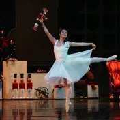 thumbnail image for Ballet Virginia