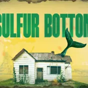 thumbnail image for Sulfur Bottom (NY)