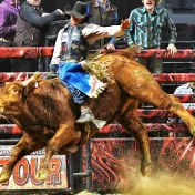 thumbnail image for Professional Championship Bull Riders