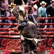 thumbnail image for Championship Bull Riding