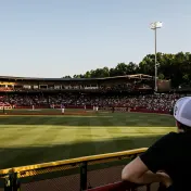 thumbnail image for Univ of South Carolina Gamecocks Baseball