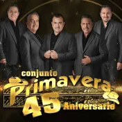 thumbnail image for Conjunto Primavera