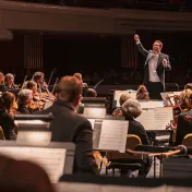 thumbnail image for Fox Valley Symphony