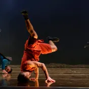 thumbnail image for Compagnie Hervé Koubi