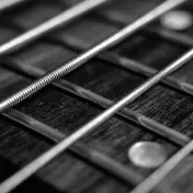 thumbnail image for Terry Harmonica Bean