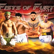 thumbnail image for Fists of Fury Series