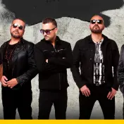 thumbnail image for Elefante