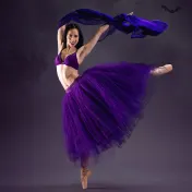 thumbnail image for Dracula: Ballet With A Bite!