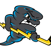 thumbnail image for Quad City Storm