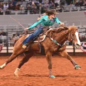 thumbnail image for Fort Worth Stock Show & Rodeo