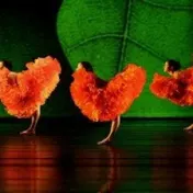 thumbnail image for Momix