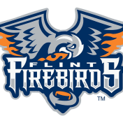 thumbnail image for Flint Firebirds
