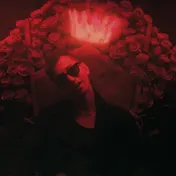 thumbnail image for Des Rocs