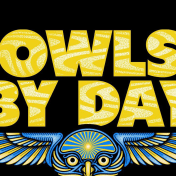 thumbnail image for Owls by Day