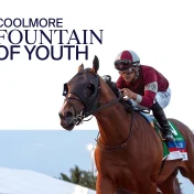 thumbnail image for Coolmore Fountain of Youth