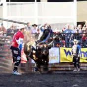 thumbnail image for PRCA Xtreme Bulls