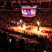 thumbnail image for University of South Carolina Gamecocks Women's Basketball