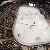 thumbnail image for University of Minnesota Duluth Bulldogs Mens Hockey