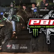 thumbnail image for PBR: Unleash the Beast