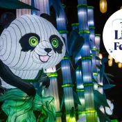 thumbnail image for Tianyu Lights Festival Phoenix 2025