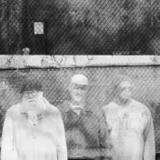 thumbnail image for Tortoise