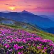 thumbnail image for North Carolina Symphony - Appalachian Spring
