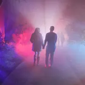 thumbnail image for Dazzling Nights® Orlando