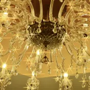 thumbnail image for Go, Dog. Go!