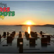 thumbnail image for BOSS ROOTS