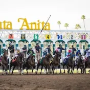 thumbnail image for Santa Anita Park
