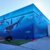 thumbnail image for South Padre Island Convention Center