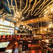 thumbnail image for Scorpion Bar at Foxwoods