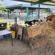 thumbnail image for Bourbon County Fairgrounds