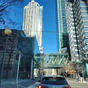 thumbnail image for The Carolina