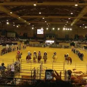 thumbnail image for Show Place Arena