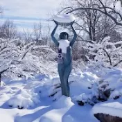 thumbnail image for Wellfield Botanic Gardens