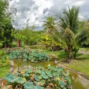 thumbnail image for Fruit and Spice Park
